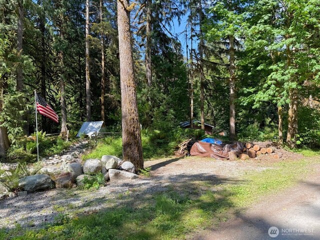 63884 Cascade River Dr, Marblemount, WA 98267 - photo 15