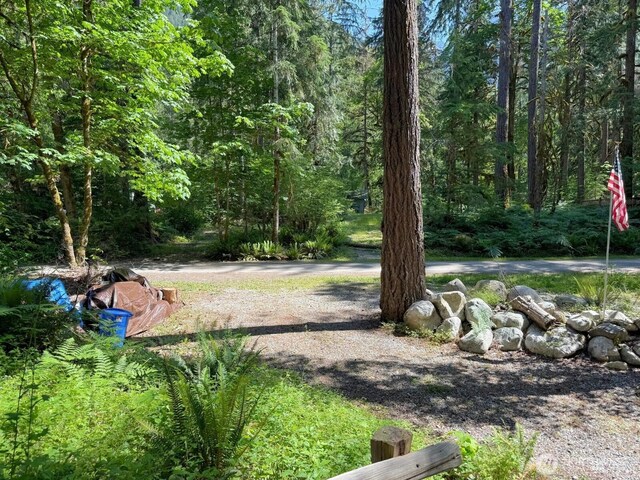 63884 Cascade River Dr, Marblemount, WA 98267 - photo 21