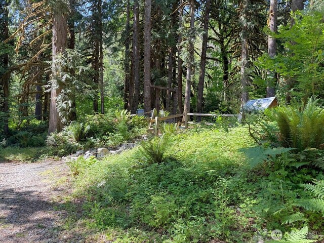 63884 Cascade River Dr, Marblemount, WA 98267 - photo 22