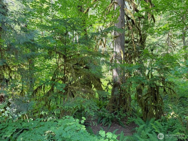 63884 Cascade River Dr, Marblemount, WA 98267 - photo 28