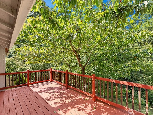10122 50th Pl W, Mukilteo, WA 98275 - view of wooden terrace