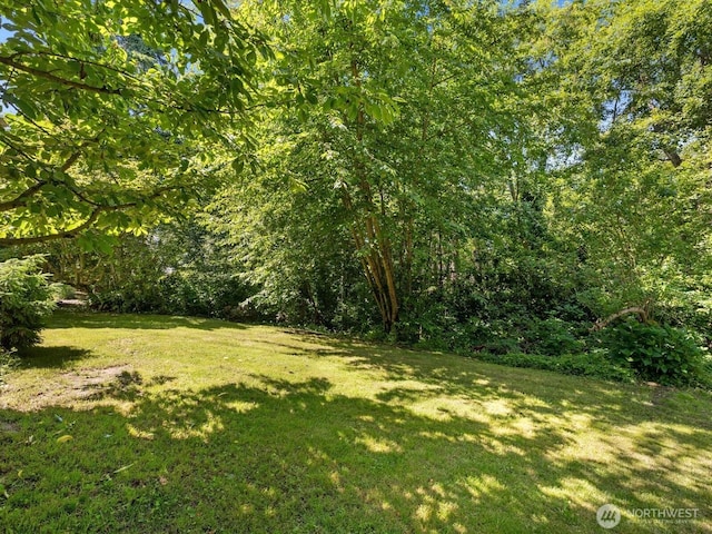 10122 50th Pl W, Mukilteo, WA 98275 - view of grassy yard with a view of trees
