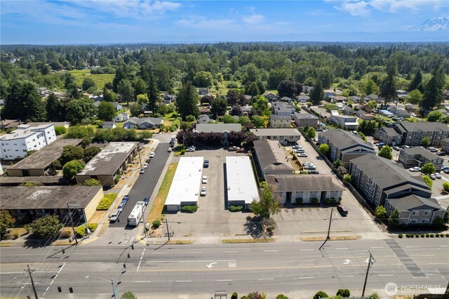 7603 Pacific Ave, Tacoma, WA 98408 - photo 8