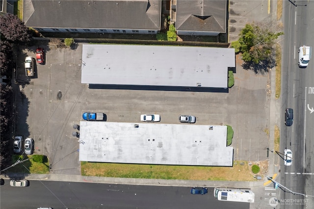 7603 Pacific Ave, Tacoma, WA 98408 - photo 11