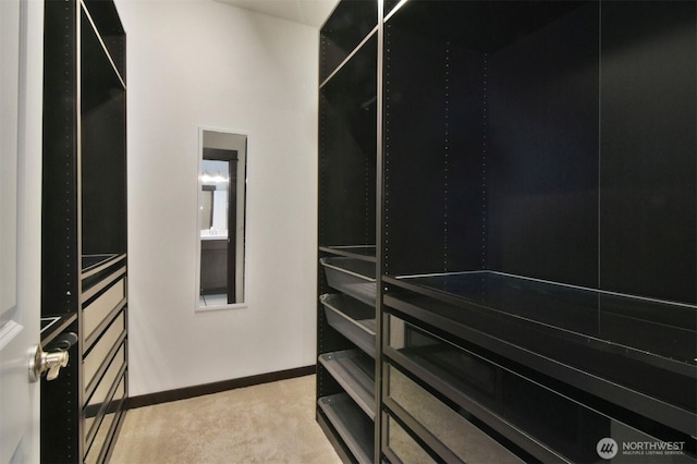 17723 3rd Ave SE, Bothell, WA 98012 - spacious closet featuring light carpet