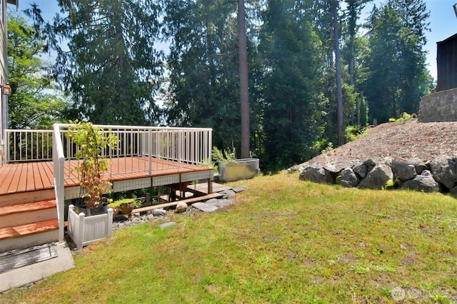 17723 3rd Ave SE, Bothell, WA 98012 - view of green lawn with a wooden deck