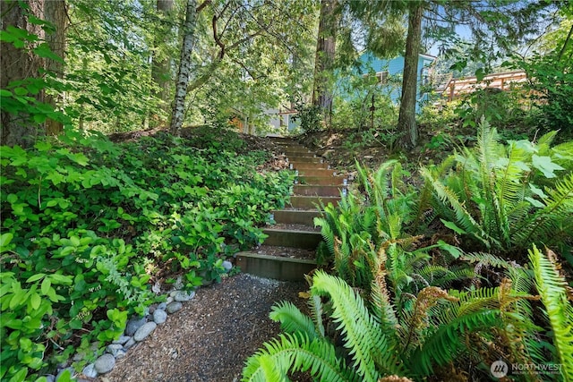 5201 Scott Rd NW, Olympia, WA 98502 - photo 24