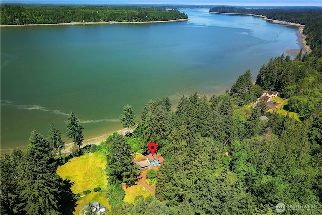 5201 Scott Rd NW, Olympia, WA 98502 - photo 27