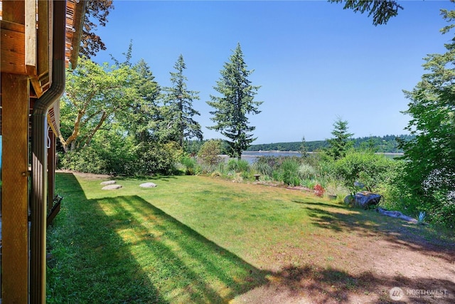 5201 Scott Rd NW, Olympia, WA 98502 - photo 29