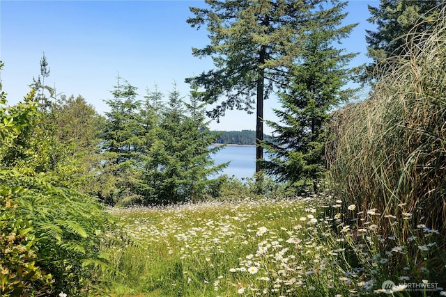 5201 Scott Rd NW, Olympia, WA 98502 - photo 31