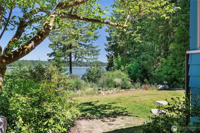 5201 Scott Rd NW, Olympia, WA 98502 - photo 32