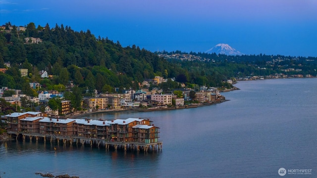 3717 Beach Dr SW Unit 113, Seattle, WA 98116 - water view featuring a heavily wooded area