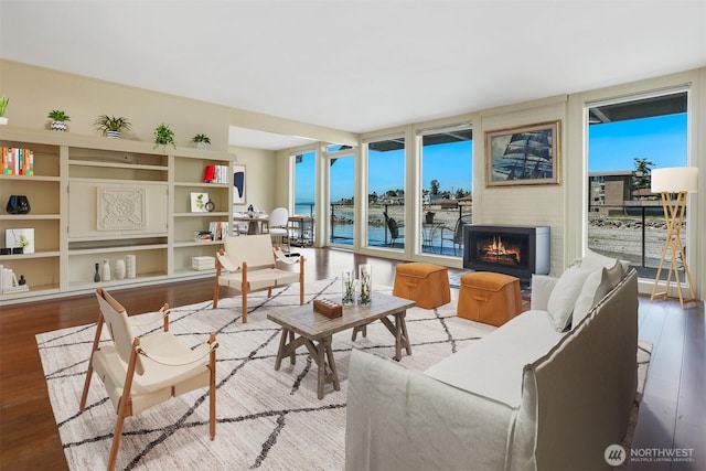 3717 Beach Dr SW Unit 113, Seattle, WA 98116 - living area featuring wood finished floors, a lit fireplace, and a water view
