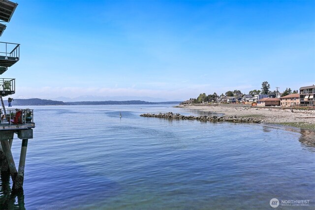3717 Beach Dr SW Unit 113, Seattle, WA 98116 - water view featuring a mountain backdrop