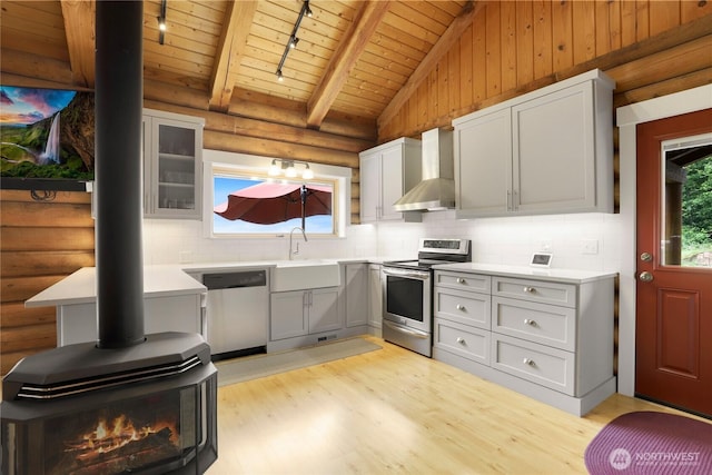 4004 Saje Ln, Sedro Woolley, WA 98284 - kitchen with appliances with stainless steel finishes, wall chimney exhaust hood, wooden ceiling, light wood-type flooring, and a wood stove
