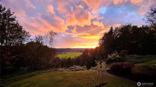 4004 Saje Ln, Sedro Woolley, WA 98284 - yard at dusk with a yard