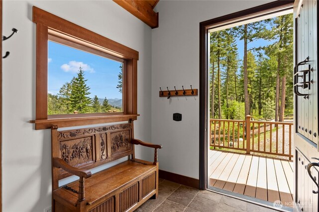 65 Fiddlers Rd, Winthrop, WA 98862 - entryway featuring healthy amount of natural light and stone finish flooring