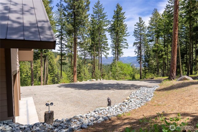 65 Fiddlers Rd, Winthrop, WA 98862 - view of yard featuring a mountain view