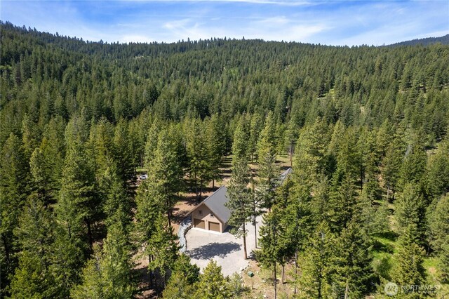 65 Fiddlers Rd, Winthrop, WA 98862 - view of subject property featuring a heavily wooded area
