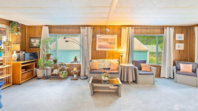 20 NE Wanda Ct, Belfair, WA 98528 - living room with plenty of natural light, wooden walls, and carpet