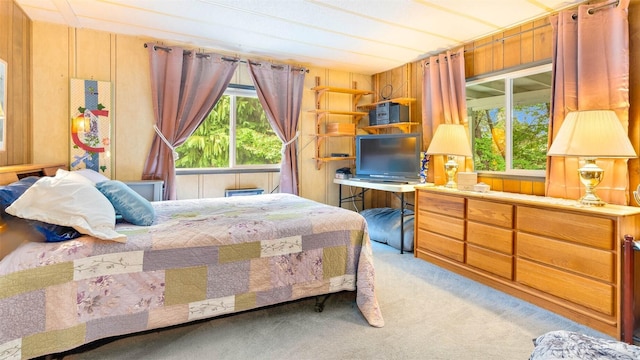 20 NE Wanda Ct, Belfair, WA 98528 - bedroom with light colored carpet