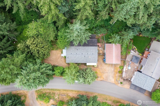 20 NE Wanda Ct, Belfair, WA 98528 - aerial view of property's location