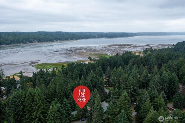 20 NE Wanda Ct, Belfair, WA 98528 - aerial view of property and surrounding area featuring a large body of water and a heavily wooded area
