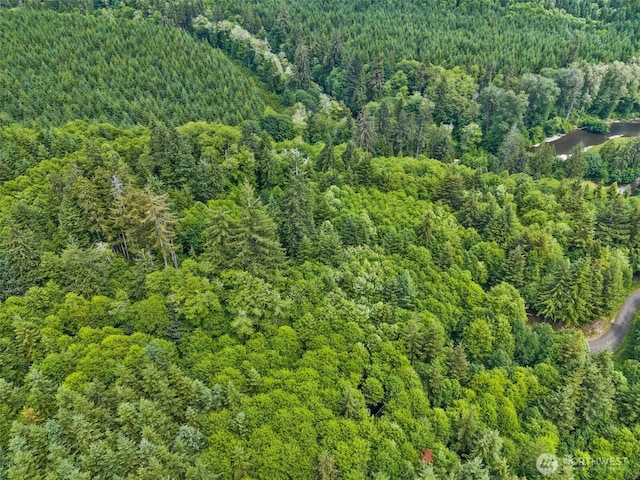 1389 Satsop Rd W, Montesano, WA 98563