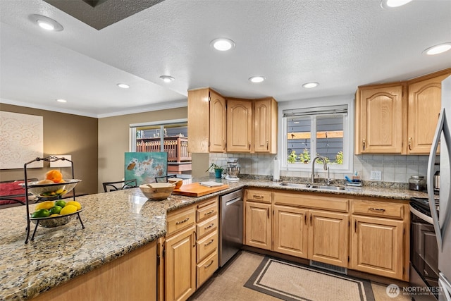 22023 11th Ave S, Des Moines, WA 98198 - kitchen with appliances with stainless steel finishes, light stone counters, backsplash, healthy amount of natural light, and crown molding