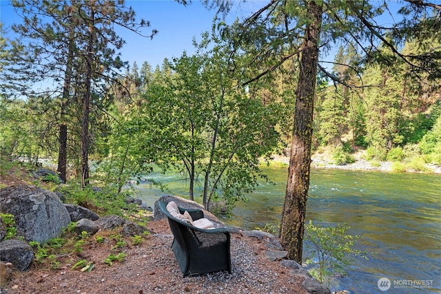 11358 River Bend Dr, Leavenworth, WA 98826 - view of yard