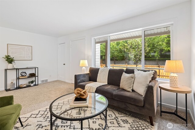 6017 Fauntleroy Way SW, Seattle, WA 98136 - living area with carpet flooring and baseboards
