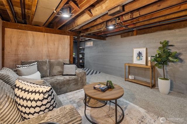 6017 Fauntleroy Way SW, Seattle, WA 98136 - unfinished basement featuring carpet flooring