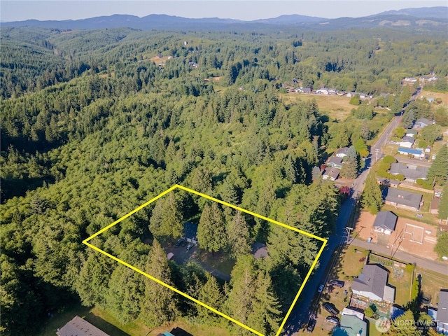 102 Garden Hill Rd, Elma, WA 98541 - photo 30