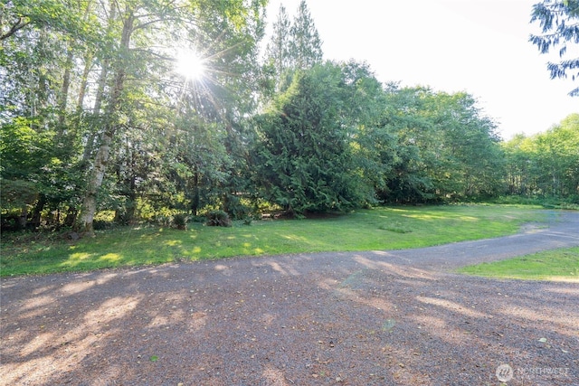 102 Garden Hill Rd, Elma, WA 98541 - photo 34