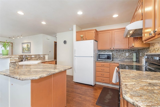 1339 Spruce St, Lynden, WA 98264 - kitchen with freestanding refrigerator, ventilation hood, black range with electric stovetop, stainless steel microwave, and backsplash