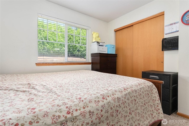 1339 Spruce St, Lynden, WA 98264 - carpeted bedroom with a closet