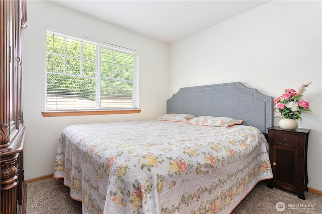 1339 Spruce St, Lynden, WA 98264 - carpeted bedroom with baseboards