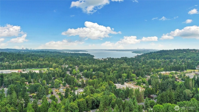 10435 NE 135th Pl, Kirkland, WA 98034 - drone / aerial view of a heavily wooded area and a large body of water