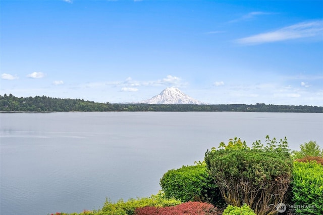 6600 Klein St NW, Olympia, WA 98502 - water view with mountains