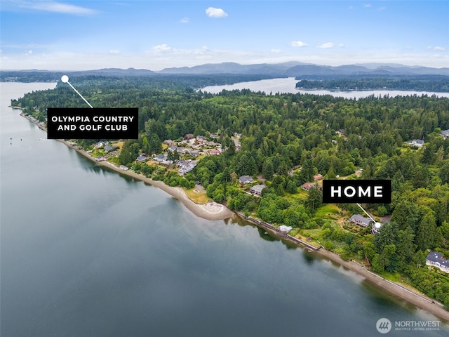 6600 Klein St NW, Olympia, WA 98502 - bird's eye view of a water and mountain view