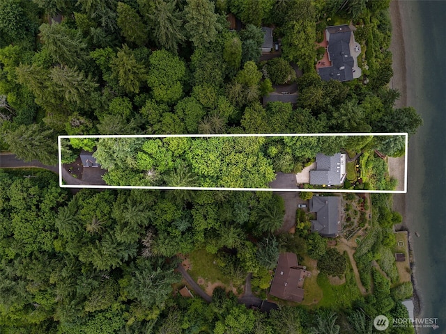 6600 Klein St NW, Olympia, WA 98502 - aerial overview of property's location featuring property parcel outlined
