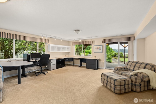 6600 Klein St NW, Olympia, WA 98502 - office area with built in study area, track lighting, and light colored carpet