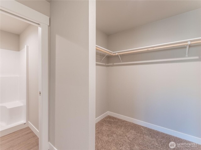 22 Salmon Dr, Wenatchee, WA 98801 - spacious closet with carpet flooring