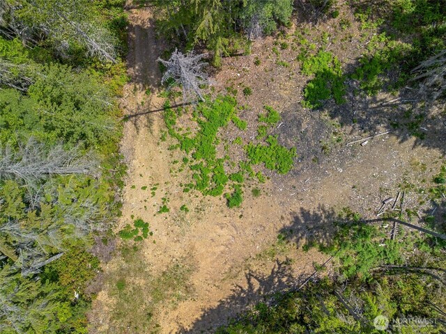 905 NE Tahuya Blacksmith Rd, Tahuya, WA 98588 - photo 5