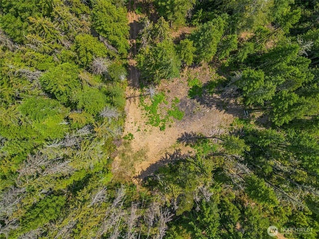 905 NE Tahuya Blacksmith Rd, Tahuya, WA 98588 - photo 12