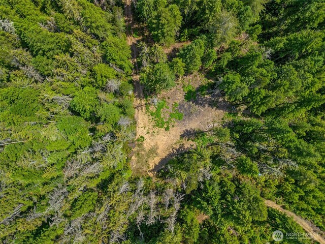 905 NE Tahuya Blacksmith Rd, Tahuya, WA 98588 - photo 13