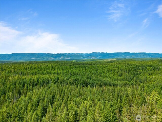 905 NE Tahuya Blacksmith Rd, Tahuya, WA 98588 - photo 15