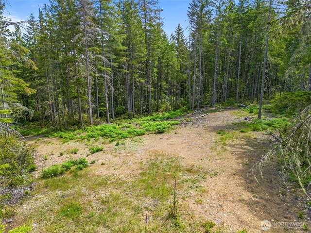 905 NE Tahuya Blacksmith Rd, Tahuya, WA 98588 - photo 1