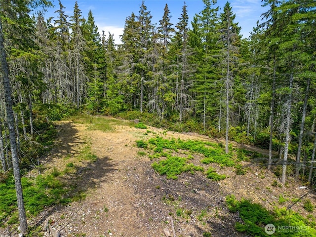905 NE Tahuya Blacksmith Rd, Tahuya, WA 98588 - photo 3