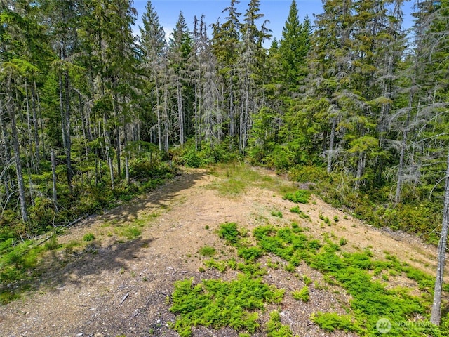 905 NE Tahuya Blacksmith Rd, Tahuya, WA 98588 - photo 4